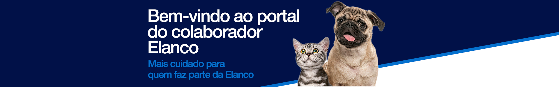 Banner Roda Pé