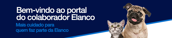 Banner Desckotp