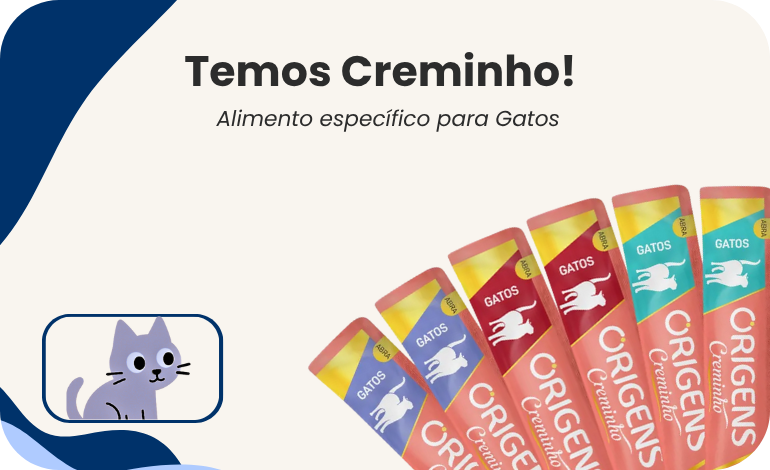Carrosel Sazional