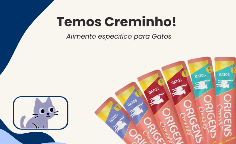 Carrosel Sazional