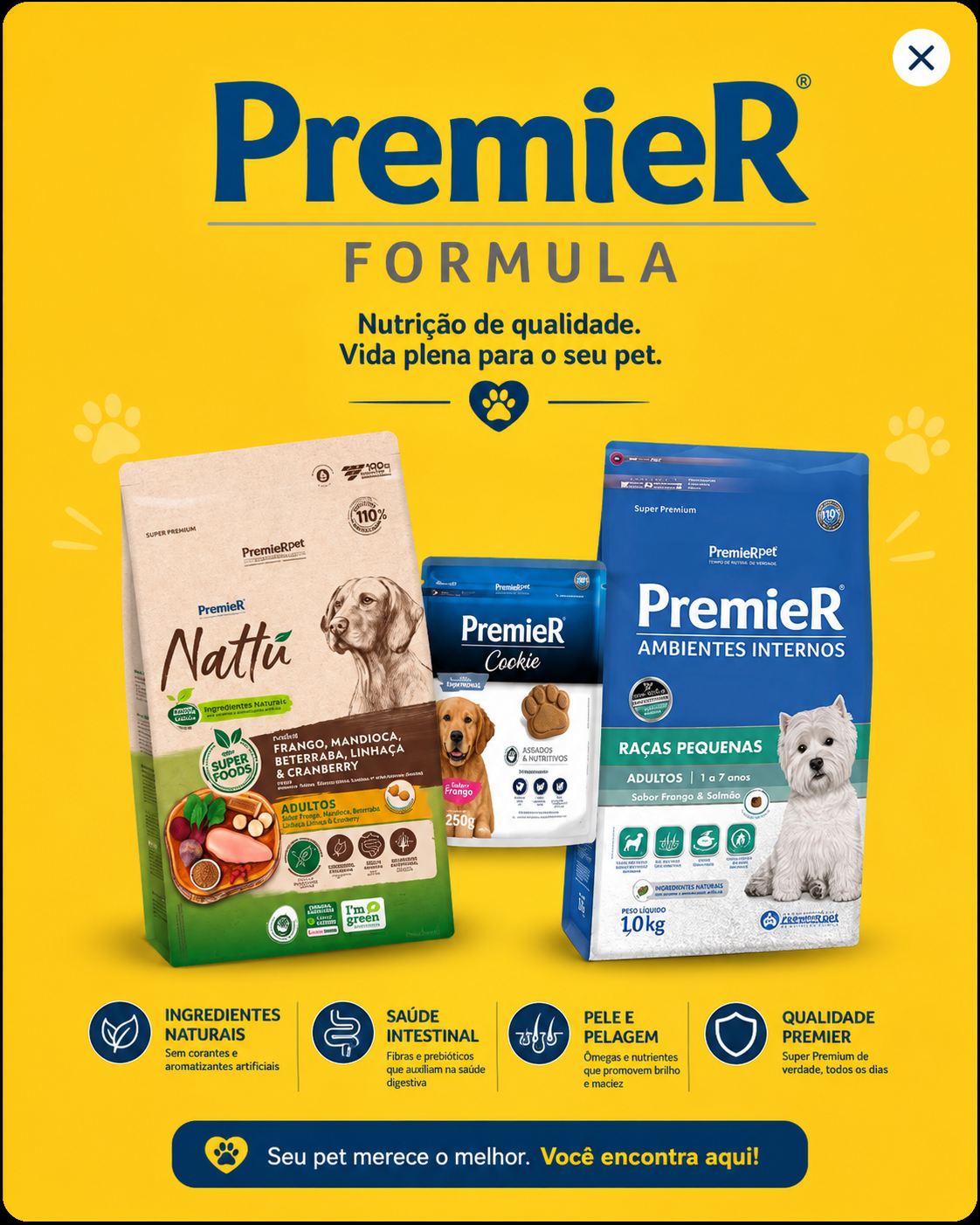 Destaques da marca PremieR