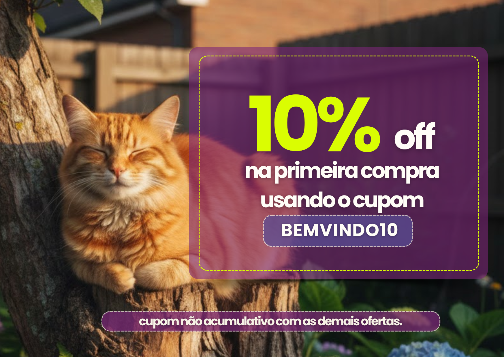 bem vindo 10